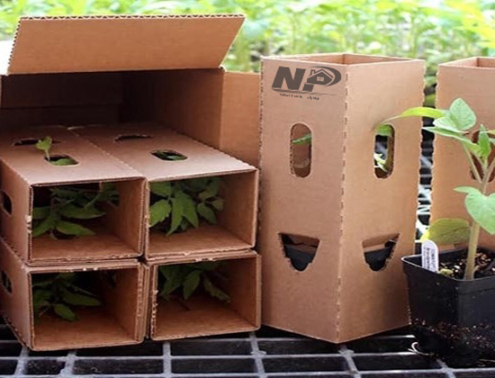 نحوه بسته بندی گیاهان آپارتمانی
